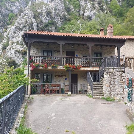 Appartamento El Portal Del Abuelo Arenas De Cabrales Esterno foto