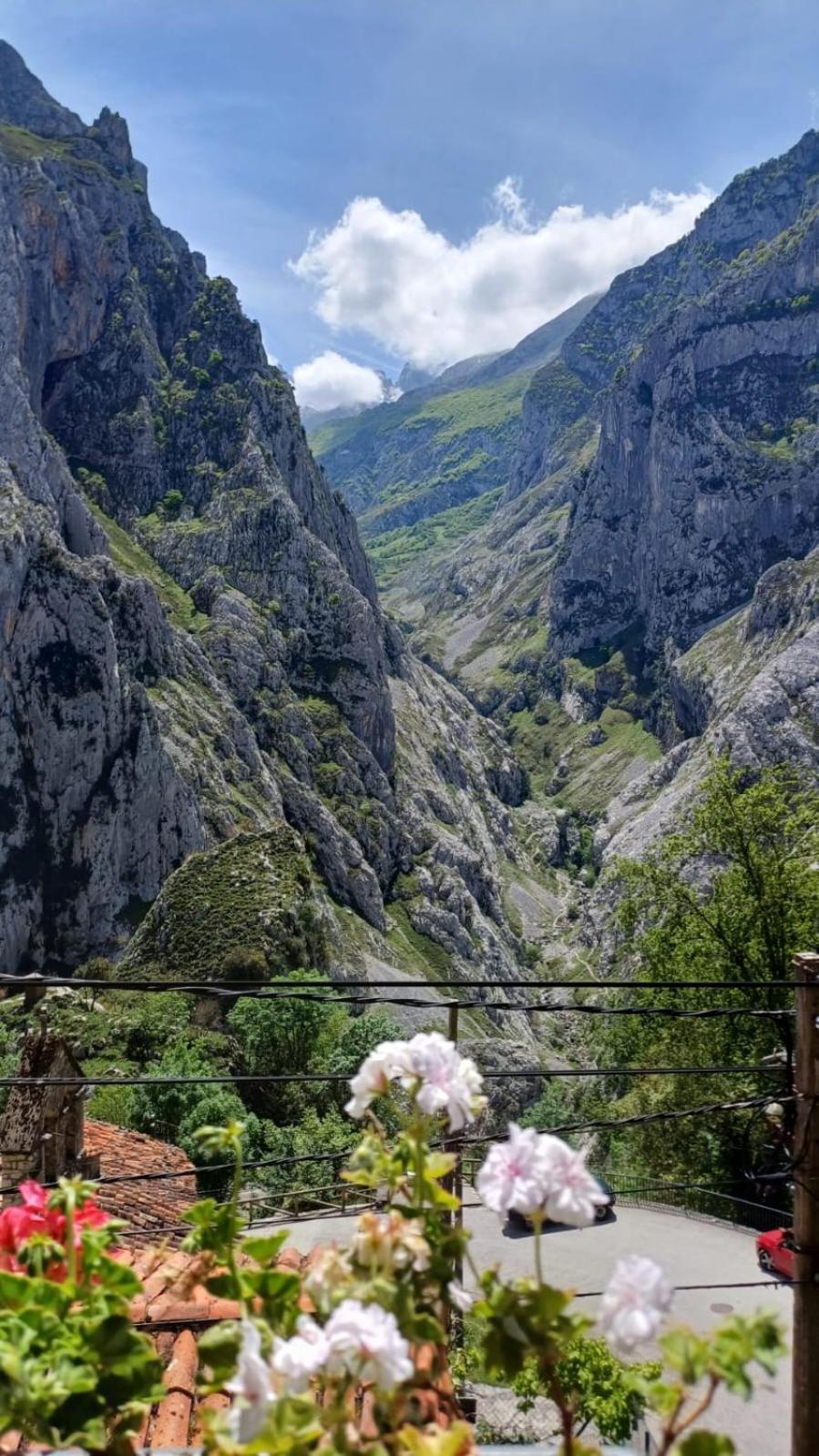 Appartamento El Portal Del Abuelo Arenas De Cabrales Esterno foto